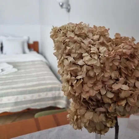 Hotel Zaulek