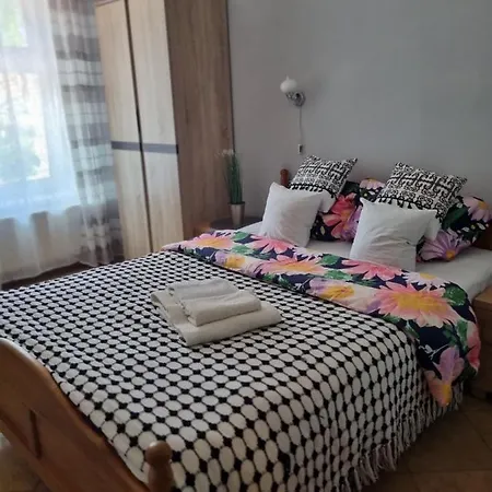 Zaulek